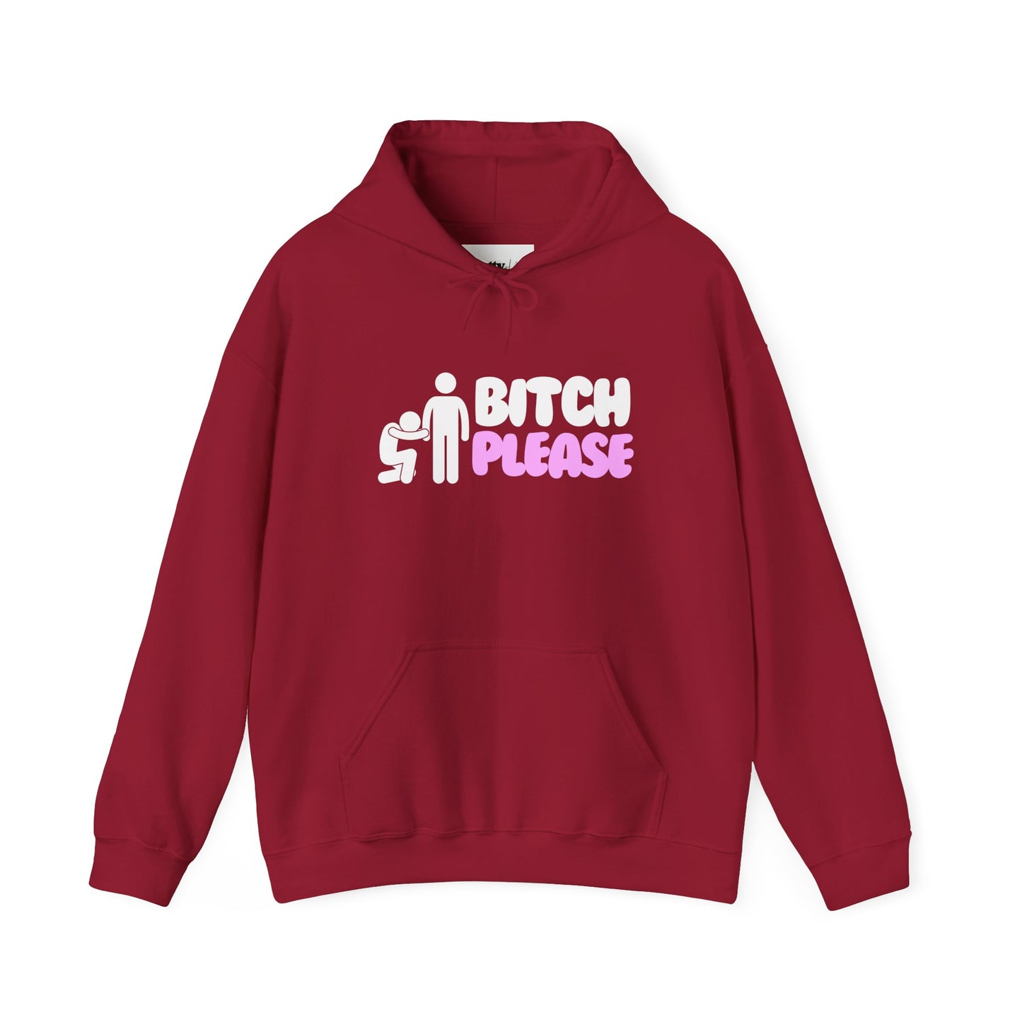 Bitch Please Hoodie
