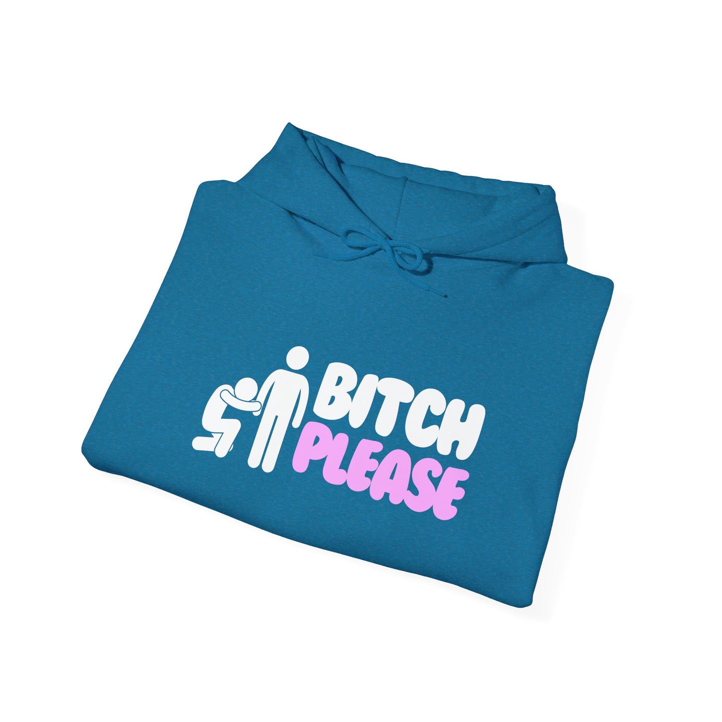 Bitch Please Hoodie