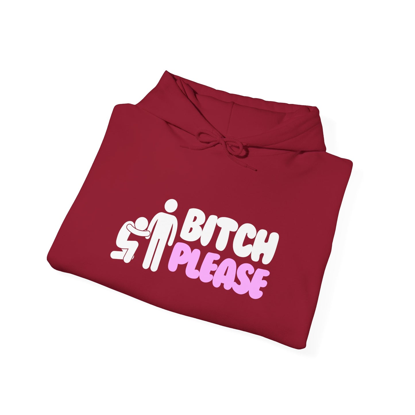 Bitch Please Hoodie