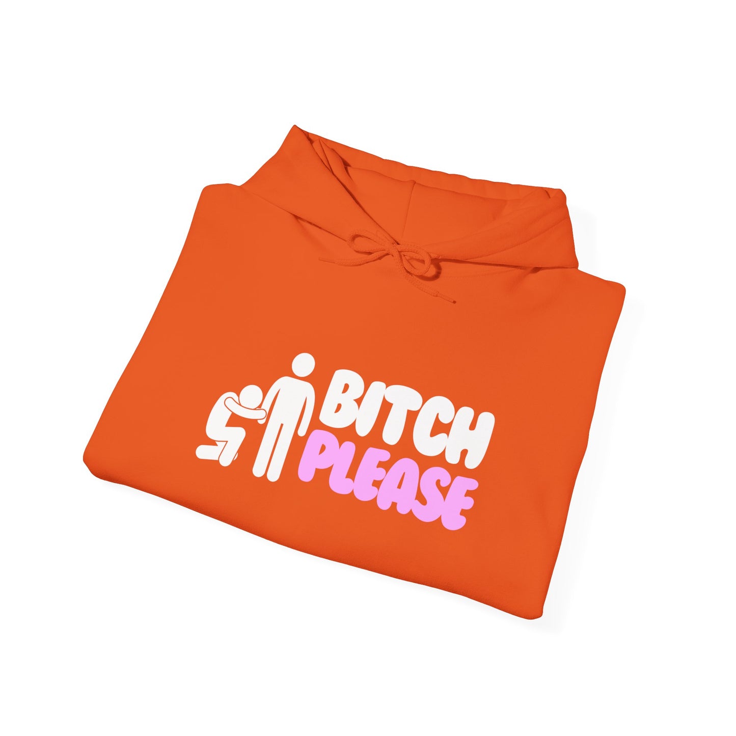 Bitch Please Hoodie