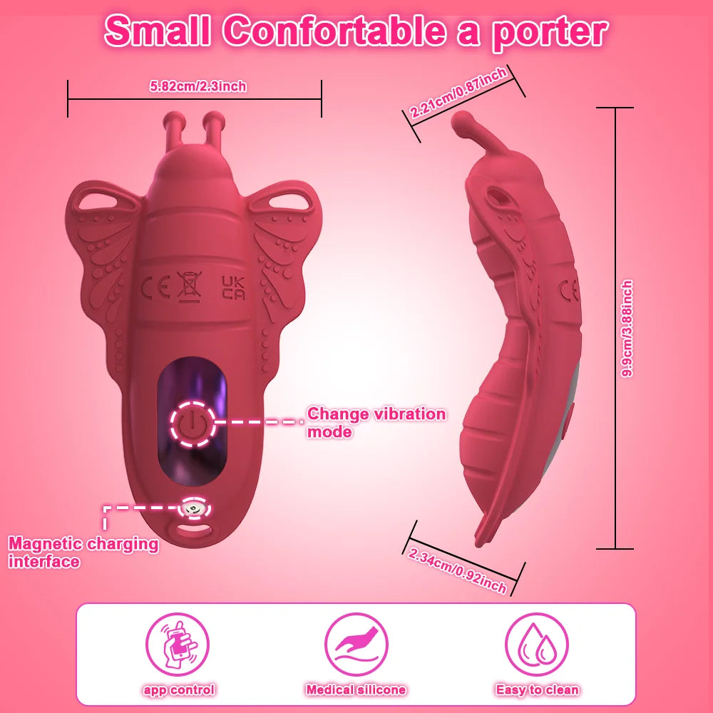 Remote Control Wearable Panty Vibrators
